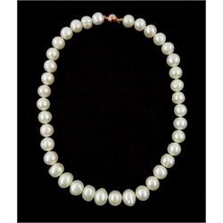 Single strand cultured fresh water pearl necklace, with 9t rose gold clasp, stamped 375