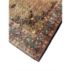 Persian Mood carpet, overall golden ground, central flared star medallion surrounded by a field of Herati motifs, cusped blue and orange ground spandrels, the border with multiple guards decorated with stylised flower head and Boteh motifs 