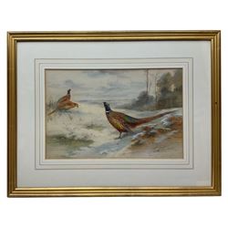 James Stinton (British 1870-1961): Pheasants in a Winter Landscape, watercolour signed 25cm x 38cm