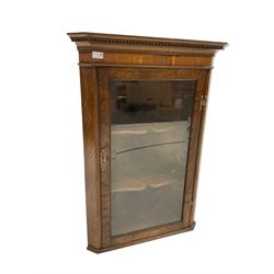 Georgian style oak corner cupboard, the dental cornice over one glazed door, opening to reveal two fixed shelves 