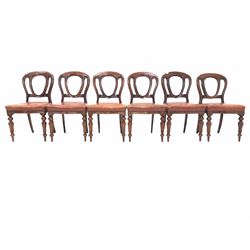 Set of six late 19th century mahogany dining chairs, with leather upholstered seats and turned and lobe carved front supports W50cm