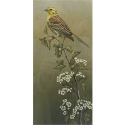 Robert E Fuller (British 1972-): 'Goldfinch' and 'Yellowhammer', pair limited edition colour prints signed and numbered 363/850 and 27/850 in pencil 31cm x 15cm (2)