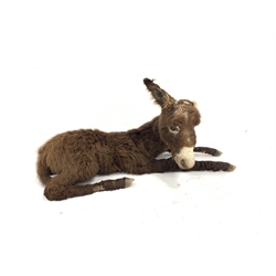 Taxidermy: Donkey, a full mount juvenile in recumbent position L103cm 