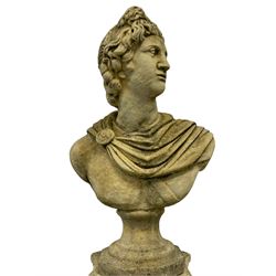 Composite stone classical design bust of Apollo Belvedere, on a Corinthian column pedestal
