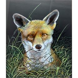 Elizabeth Garnett-Orme (British Contemporary): Fox in Grass, gouache and ink signed and dated 1988, 30cm x 25cm