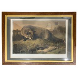 Thomas Landseer (1795-1880) After Sir Edwin Henry Landseer R. A. (1802-1873): 'Not Caught Yet', engraving with colour pub. 1846, 55cm x 76cm