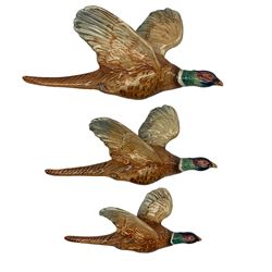Set of three Beswick pheasant graduated wall plaques No 661/1, 661/2 and 661/3