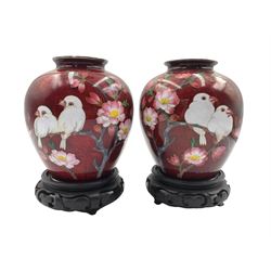 Pair of Japanese Ginbari Cloisonne vases, each of squat form decorated with a pair of Java Sparrows perched on a flowering tree, with white metal rim and foot on hardwood stands, H14cm