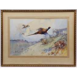 Frank Southgate RBA (British 1872-1916): Pheasants, pair watercolours signed 38cm x 58cm