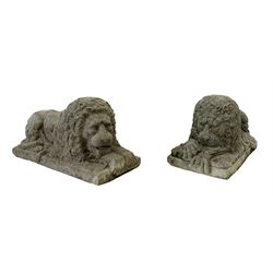 Pair composite stone recumbent lions on naturalistic base