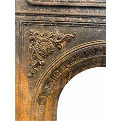 Edwardian cast iron fire insert of classical design 65cm x 99cm