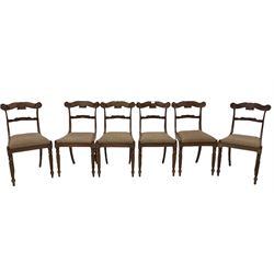 Set six regency style mahogany dining chairs, the carved cresting rail and back over drop in seat pad, raised on reeded supports 