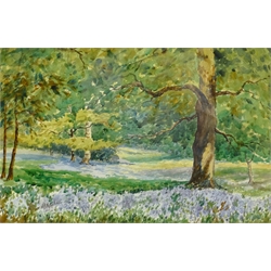 Albert H Poppleton (British exh.1928): Bluebell Meadow, watercolour signed 27cm x 41cm