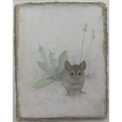 Victor Koulbak (Russian/French 1946-): 'Mouse', silverpoint and watercolour signed with monogram, labelled and dated 2006 verso exhibited London Portland Gallery September 2008, 32cm x 25cm