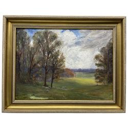 Owen Baxter Morgan (British exh.1898-1907): Sheep Grazing in an Open Rural Landscape, oil on canvas signed verso 37cm x 50cm