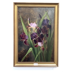 FGL (British late 19th century): Study of Irises, oil on canvas signed with initials and dated '99, 53cm x 35cm