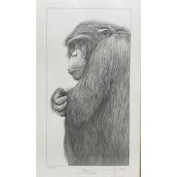 Gary Hodges (British 1954-): 'Chimpanzee', limited edition monochrome print signed and numbered 785/850 in pencil 37cm x 20cm