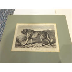Four Landseer engravings, comprising: Charles George Lewis (British 1808-1880) after Sir Edwin Henry Landseer R.A. (British 1802-1873): 'In the Glen', pub. Virtue & Co, London 1876, 'The Bloodhound', the frontispiece for 'Landseer's works comprising forty-four steel engravings and about two hundred woodcuts', pub. Virtue 1879-1880, Thomas Landseer (British 1795-1880) after E Landseer: 'Alpine Mastiff', pub.  Sherwood & Co, London c.1826, and T Landseer after himself: 'Too Hot to Hold', pub. Sherwood 1827, max 22cm x 25cm (4)