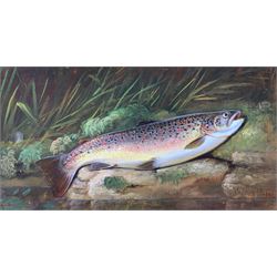 Thomas G Targett (British 1828-1891): 'Brown Trout on Riverbank', oil on board, signed and dated 1881, 13cm x 24cm
Provenance: purchased from Cambridge Fine Art, 2001