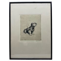 Cecil Aldin (British 1870-1935): Portrait of 'Bobby' the Terrier, limited edition drypoint etching signed and numbered 39/100 in pencil 24cm x 20cm