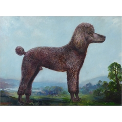  James Hardaker (British 1901-1991): Portrait of a Poodle, oil on board signed 54cm x 75cm  