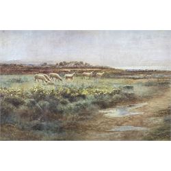 Arthur Wilkinson (British 1860-1930): Sheep on Fenland, watercolour signed and dated '89, 35cm x 53cm 