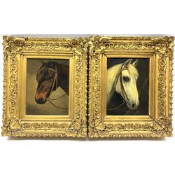 English School (19th/20th century): Portrait of a Bay Pony and Portrait of a Grey, pair oils on canvas, inscribed 'Wilkinson' on verso 19cm x 14cm (2)