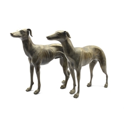Pair of bronze finish standing Greyhounds, L36cm x H30cm 