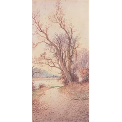 Arthur Willitt (1869-1951) Rural landscape, watercolour signed, 39cm x 19cm 
