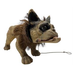 Early 20th century French Papier-Mache pull along bull dog in the manner of Roullet & Decamps, with nodding head, rough collar, glass eyes and pull chain growler mechanism, L43cm x H27cm 