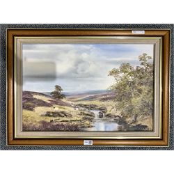 B Richardson (British 20th century): Moorland waterfall landscape, oil on canvas signed 40cm x 60cm
