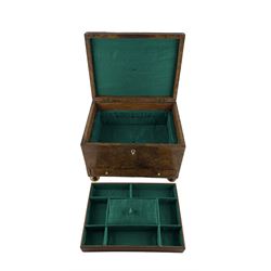 19th century burr elm sewing box of sarcophagus design with single drawer, the interior with lift out tray and raised on brass ball feet W33cm