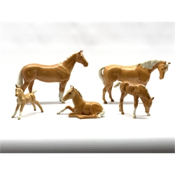 Beswick Huntsmans Horse in palomino gloss No. 1484, a palomino mare No. 1812 and three palomino foals