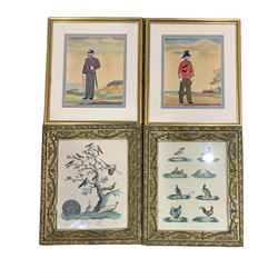 Pair Victorian hand coloured engravings of birds in ornate gilt frames together with pair Victorian collages of Colonels on antique print backgrounds max 22cm x 17cm (4)