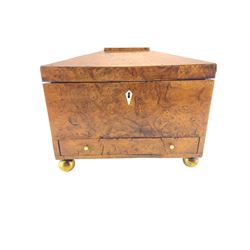 19th century burr elm sewing box of sarcophagus design with single drawer, the interior with lift out tray and raised on brass ball feet W33cm