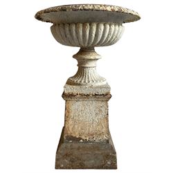 Victorian cast iron garden urn on stand, egg and dart moulded rim over gadrooned underbelly, moulded footed base, on tapered square plinth