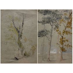 Peter de Wint (British 1784-1849): Tree Portrait, pair watercolours framed as one, signed and inscribed verso, each 26cm x 18cm
