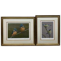 Robert E Fuller (British 1972-): Kingfishers and Bluetits, two limited edition colour print signed and numbered max 21cm x 30cm (2)