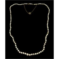 Single graduated strand pearl necklace with gold old cut diamond set clasp