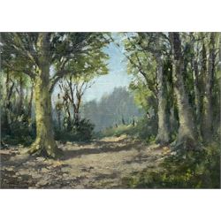 William Burns (British 1923-2010): 'New Forest - Hampshire', oil on board signed, titled verso 24cm x 33cm
Provenance: direct from the family of the artist