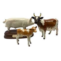 Beswick Ayrshire cow 'Ickham Bessie' in gloss 1350, Guernsey calf 1249a and a large white boar on wooden plinth 1453b (3)