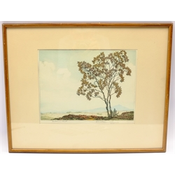 Alice Barnwell (British 1910-1980): 'Autumn Tints', coloured artist's proof etching signed and titled in pencil with Rembrandt Guild blindstamp 24cm x 30cm