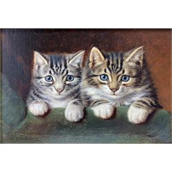 Horatio Henry Couldery (British 1832-1918): 'Two Tabby Kittens', oil on canvas signed, 14cm x 20cm
Provenance: purchased from John Noot Gallery, 2003