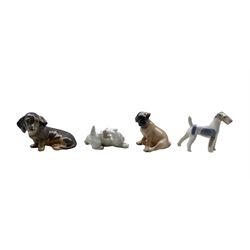 Four Royal Copenhagen porcelain dogs comprising a Boxer Puppy no. 3169, Sealyham Terrier no. 3087, Dachshund no. 3140 and a Wire-haired Terrier no. 3170, all designed by Theodor Madsen (4)