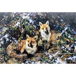 David Shepherd (British 1931-2017): 'Winter Foxes',  limited edition colour print signed in pencil blindstamped and numbered 988/1500, 23cm x 35cm