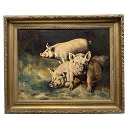 W Harris (British 20th century Naive School): Family of Pigs in a Sty, oil on board signed 34cm x 44cm