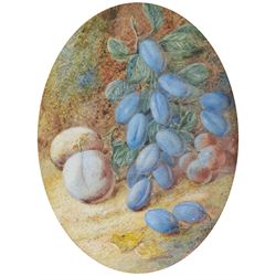 Vincent Clare (British 1855-1930): Study of Plums, watercolour signed 19cm x 14cm