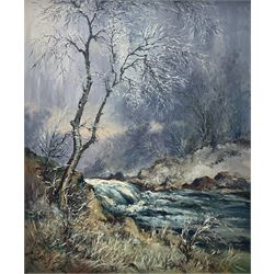 Robert Leslie Howey (British 1900-1981): 'Near Skelwith Force', oil on board signed, titled and dated 1971 on label verso 60cm x 50cm 
Provenance: with The Hawkshead Gallery, Ambleside, label verso