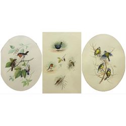 John Reed (British 20th century): Robin and other Bird Studies, three watercolours signed max 35cm x 28cm (3)
Notes: Reed was a Royal Worcester artist during the mid 20th century