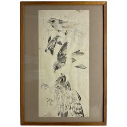 Japanese School (19th century): Hawk and other Birds, monochrome watercolour indistinctly signed 56cm x 26cm